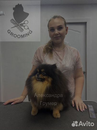 Груминг собак и кошек