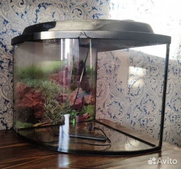 Аквариум угловой