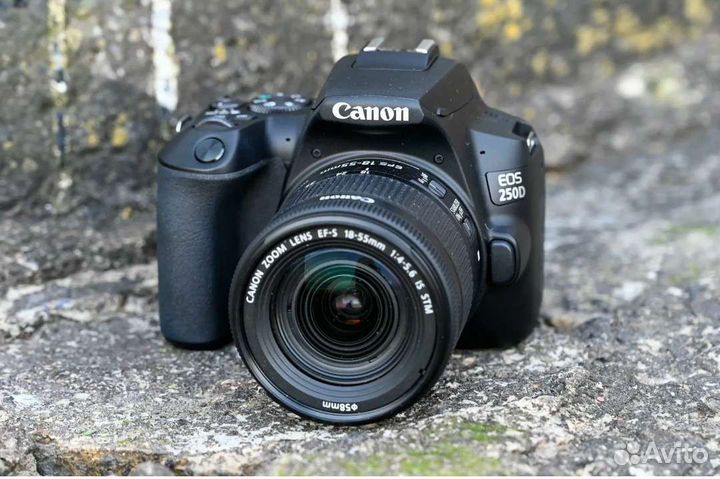 Canon eos 250d
