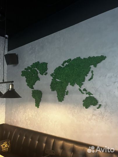 Панно Карта Мира из мха ягеля