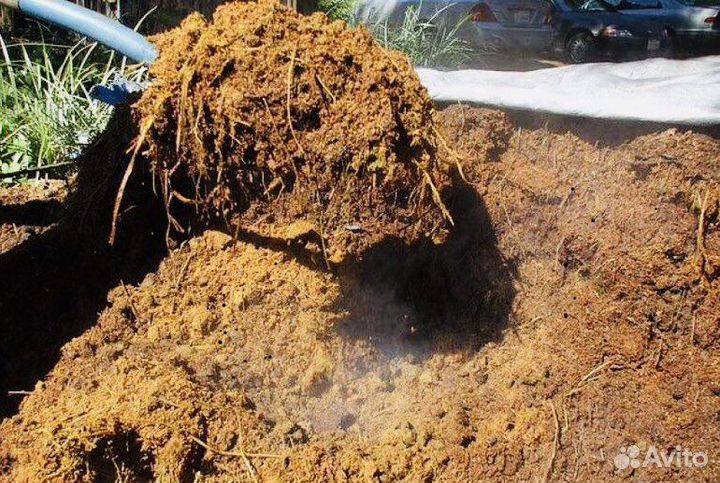 Перегной, навозы