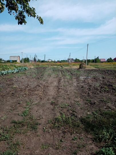 Участок 16 сот. (ИЖС)