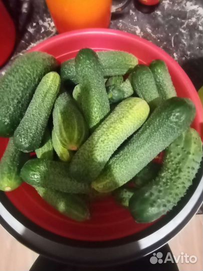 Огурчики домашние, чеснок