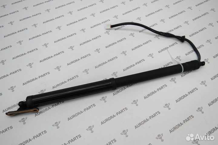 Амортизатор Toyota RAV4 5 2018-2023 (XA50)