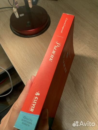 Книга рыжик