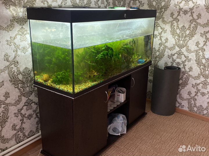 Аквариум