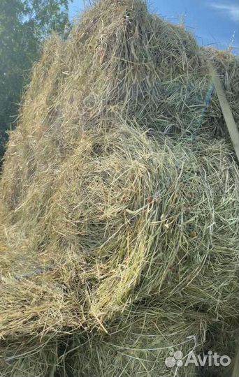 Продам сено в рулонах