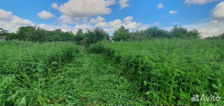 Покос травы,Зачистка участков,Спил деревьев