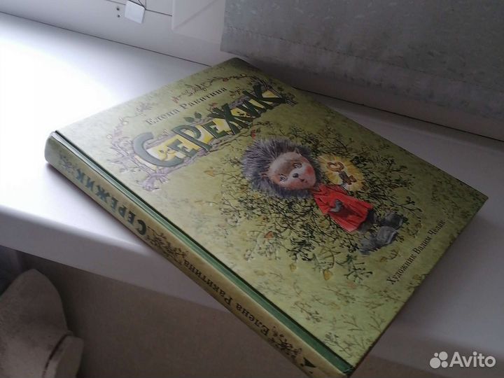 Детские книги Серёжик Ракитина Е