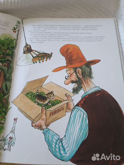 История о том, как Финдус потерялся. С. Нурдквист