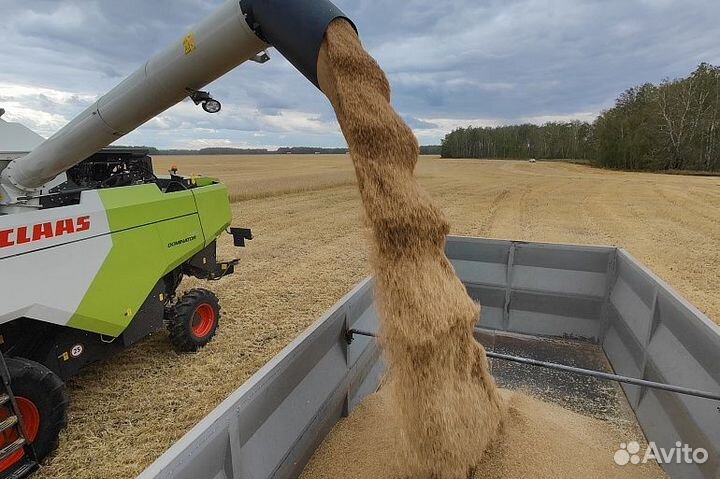 Комбайн Claas Dominator, 2023