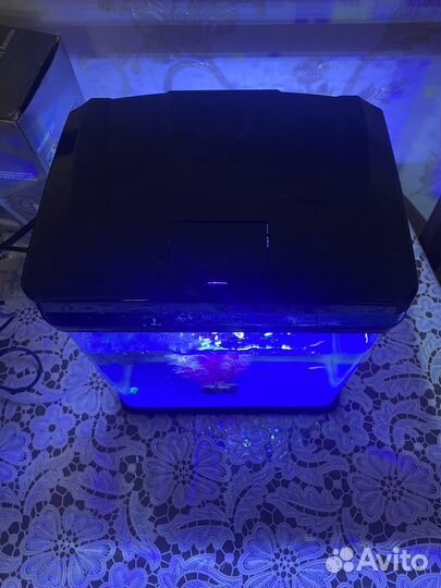 Аквариум с рыбками