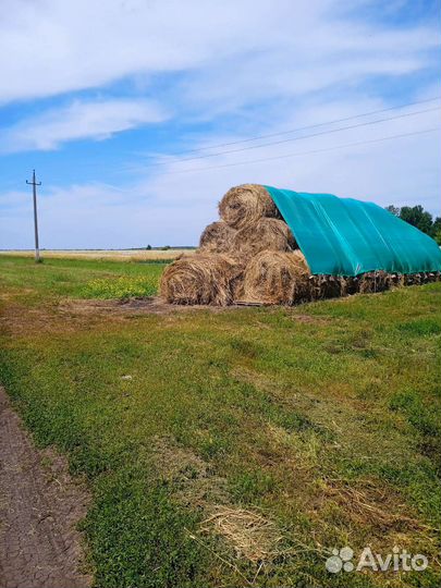 Сено в рулонах