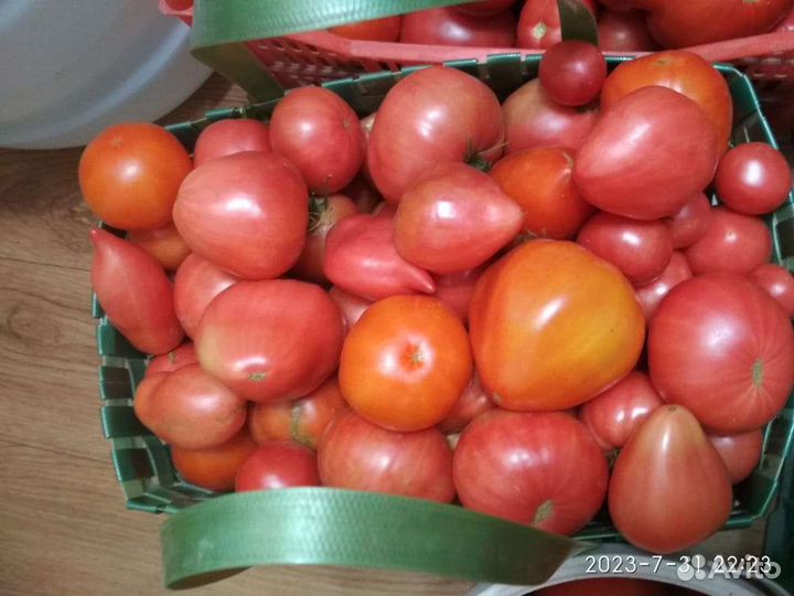Помидоры, огурцы
