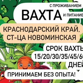 Требуются комплектовщики на консервное пр-во вахта