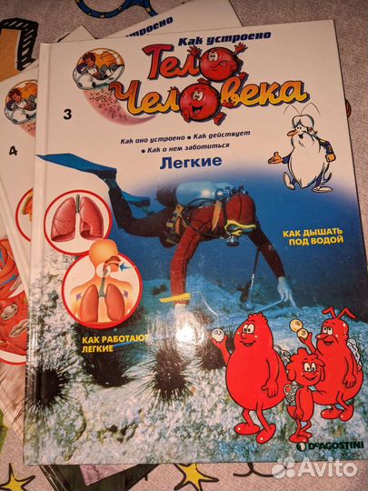 Книги Тело Человека