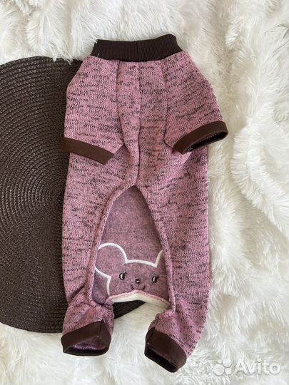 Одежда для собак