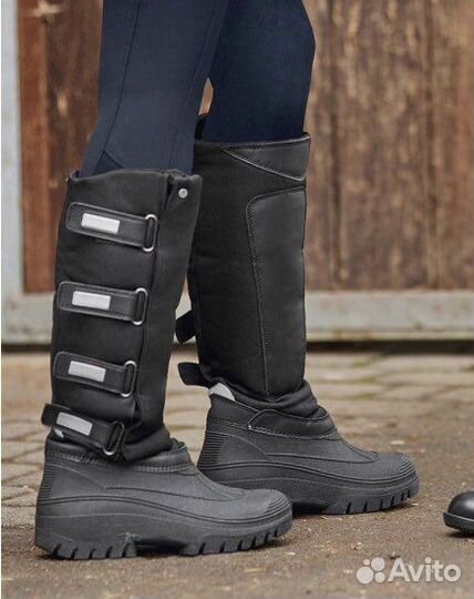 Термосапоги для конного спорта dafna p. 40 израиль