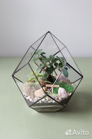 Флорариум 