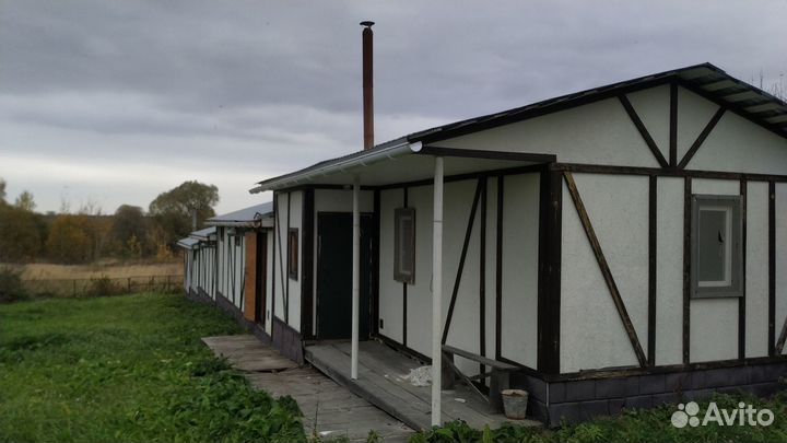 Шиншилловая ферма