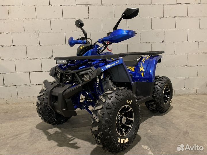 Квадроцикл Motoland 125 wild X PRO