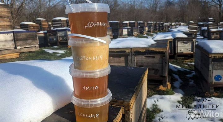 Мед натуральный. Свой мед