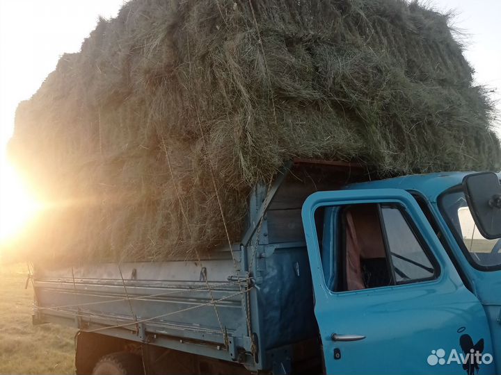 Сено луговое в тюках