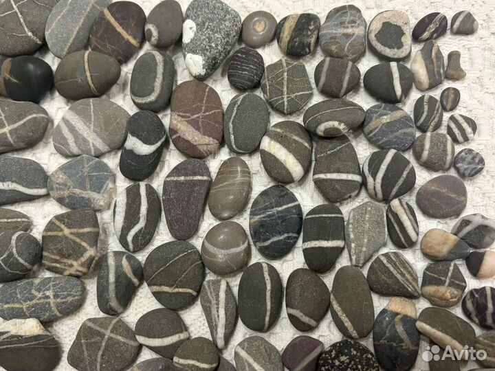 Камешки морские 1 кг цена за всё