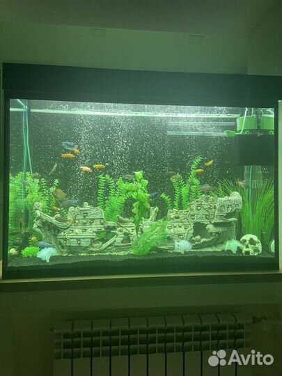 Аквариум