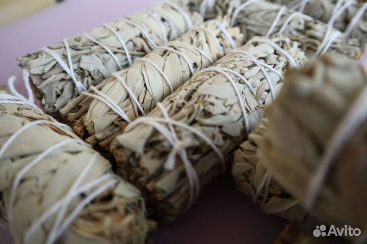 Шалфей Белый от 20шт опт для Вайлберис