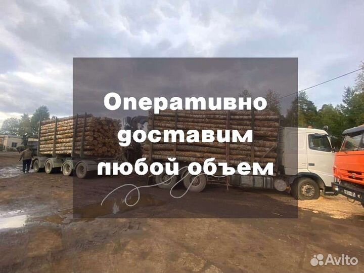 Дрова на дачу