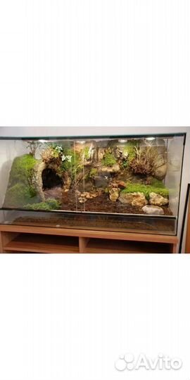 Террариумы