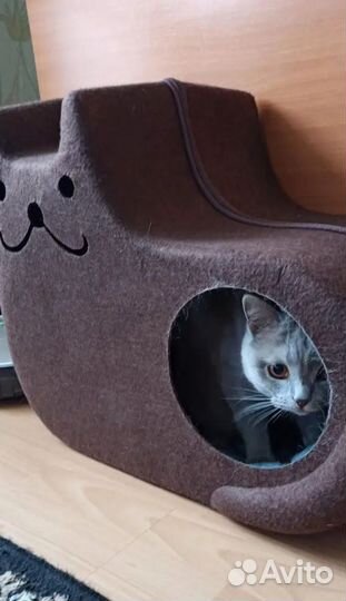 Домик для кота или маленькой собаки