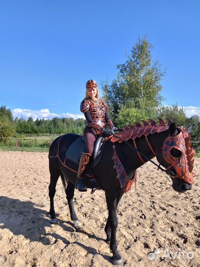 Снаряжение для всадников и коней