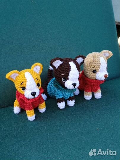 Собачка чихуа