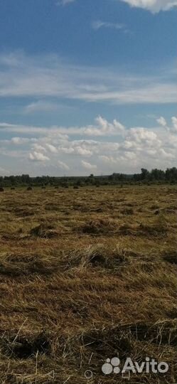 Сено в тюках