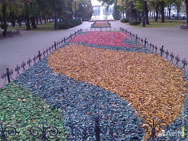 Щепа древесная декоративная цветная