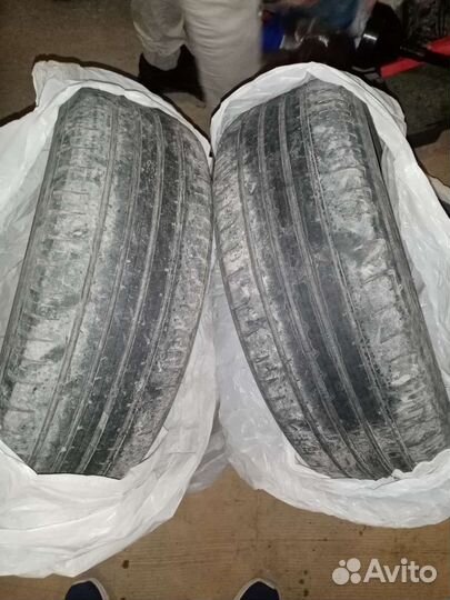 Maxxis Premitra HP5 195/55 R16