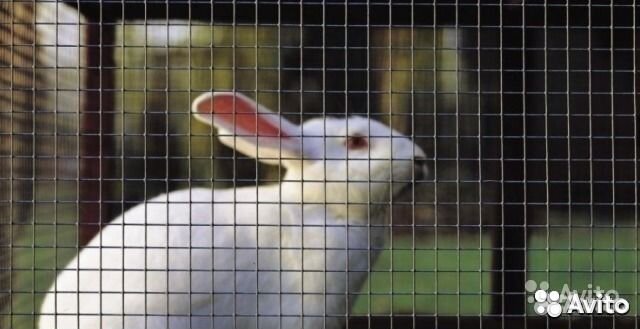 Сетка для клеток 25х25х2мм