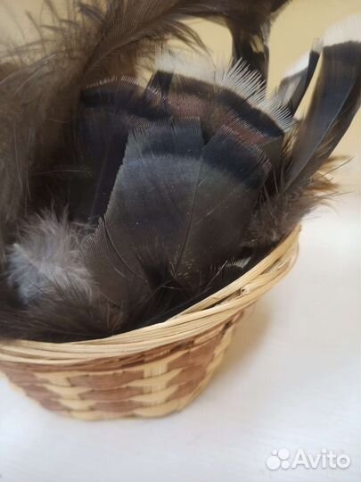 Индюшиные перья