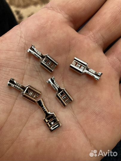 Клема плоская (мамка)