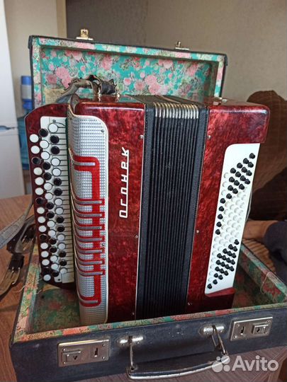 Баян Огонёк 2