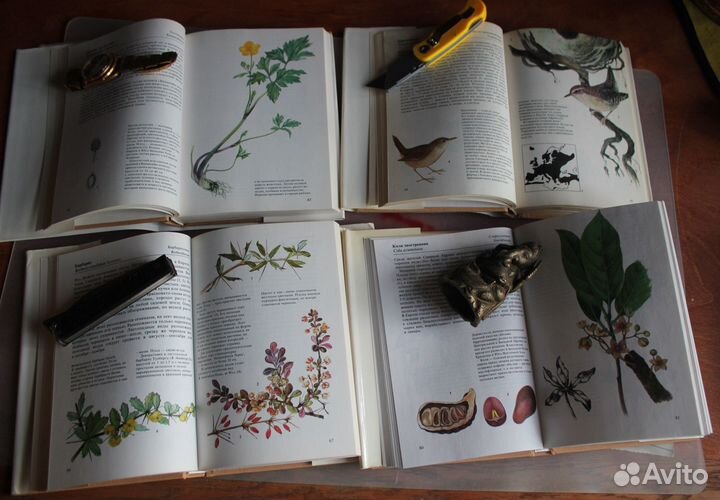 6 книг Определителей Птиц и Растений Артия