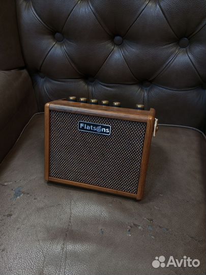 Комбоусилитель портативный для гитары и микрофона