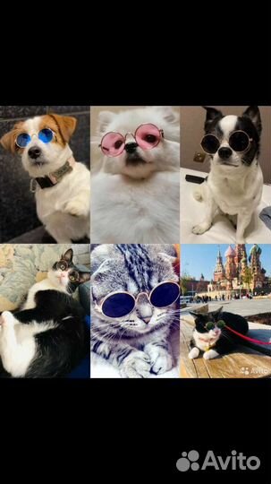 Очки для кошки, собачки, куклы