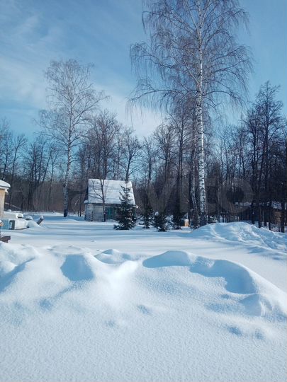 Участок 50 сот. (ИЖС)