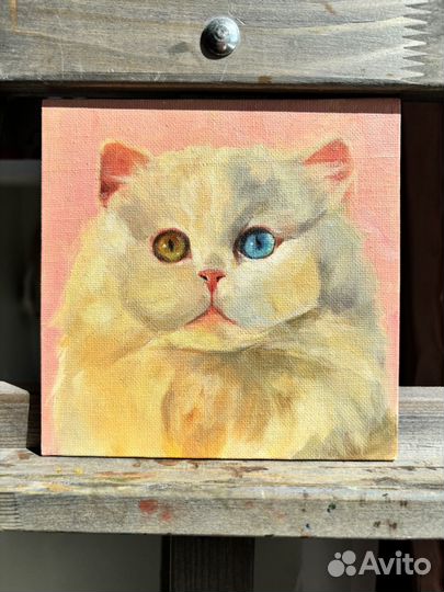 Белый, пушистый котик. Картина маслом