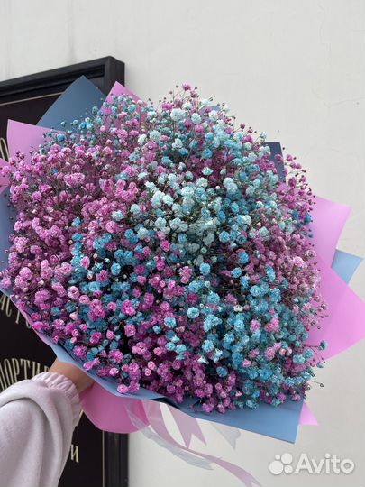 Цветная гипсофила