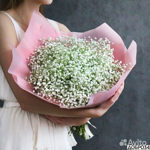 Цветы гипсофила