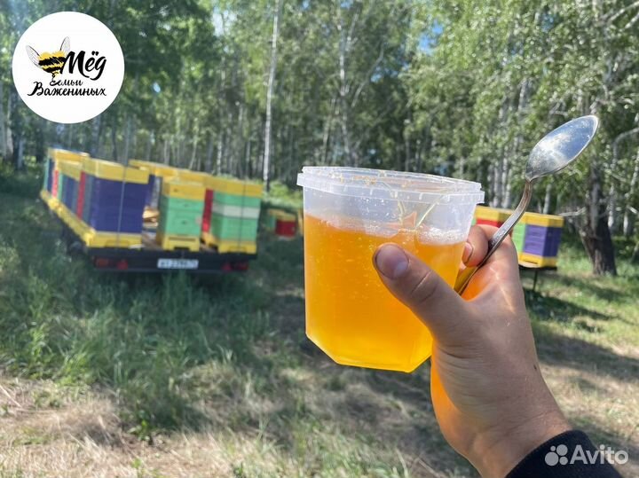 Мёд башкирский свежий. Собственная пасека